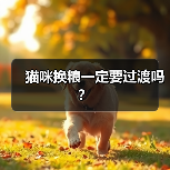 猫咪换粮一定要过渡吗?(图4) 猫咪换粮一定要过渡吗?实用指南(图4)