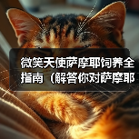 微笑天使萨摩耶饲养全指南(解答你对萨摩耶日常饲养问题的困惑)(图4) 微笑天使萨摩耶饲养全攻略(图4)