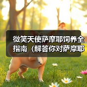 微笑天使萨摩耶饲养全指南(解答你对萨摩耶日常饲养问题的困惑)(图2) 微笑天使萨摩耶饲养全攻略(图2)