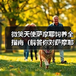微笑天使萨摩耶饲养全指南(解答你对萨摩耶日常饲养问题的困惑)(图3) 微笑天使萨摩耶饲养全攻略(图3)