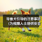 导盲犬引导的注意事项(为视障人士提供安全和自由的关键)(图3) 导盲犬引导注意事项全攻略(图3)