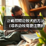 正确照顾边牧犬的方法(喂养边牧需要注意的事项)(图2) 边牧犬正确喂养方法全攻略(图2)