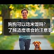 狗狗可以吃米饭吗?(了解适度喂食的注意事项和禁忌)(图4) 狗狗可以吃米饭吗全攻略(图4)