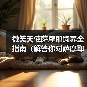 微笑天使萨摩耶饲养全攻略