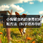 小狗驱虫药使用方法全攻略(图4)