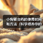 小狗驱虫药使用方法全攻略