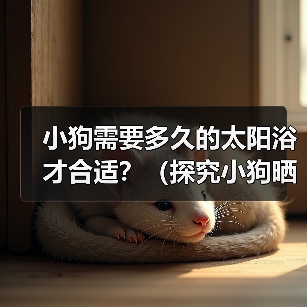 小狗需要多久的太阳浴才合适全攻略