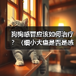 狗狗感冒应该如何治疗?(细小犬瘟是否是感冒的症状?应该如何辨别?)(图4) 狗狗感冒治疗全攻略(图4)