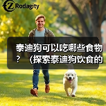 泰迪狗可以吃哪些食物全攻略