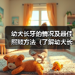 幼犬长牙情况及最佳照顾方法全攻略(图3)