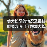 幼犬长牙情况及最佳照顾方法全攻略(图4)