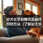 幼犬长牙情况及最佳照顾方法全攻略