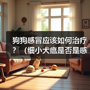 狗狗感冒治疗全攻略