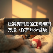 杜宾剪耳后的正确绑耳方法(保护耳朵健康,让宠物更迷人)(图3) 杜宾剪耳后绑耳方法全攻略(图3)