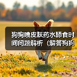 狗狗喷皮肤药水舔食时间问题解析全攻略