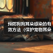 预防狗狗耳朵感染全攻略