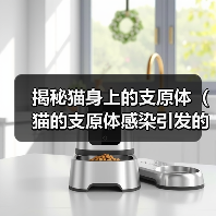 猫支原体感染全攻略