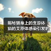 猫支原体感染全攻略(图4)