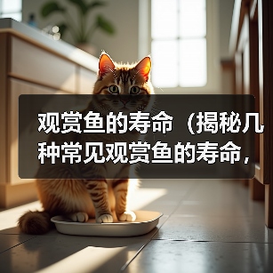观赏鱼寿命全攻略(图3)