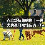 克维舒抗菌病例 | 一例犬跳蚤叮咬性皮炎(FAD)的病例分析(图3) 犬跳蚤叮咬性皮炎诊疗全攻略(图3)