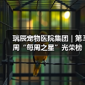 瑞辰每周之星光荣榜发布(图3)