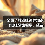 全面了解猫咪饲养知识牙齿健康疫苗保护无忧全攻略