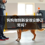狗狗刚到家很安静怎么办全攻略(图2)