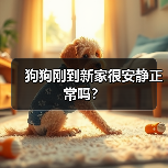 狗狗刚到家很安静怎么办全攻略(图3)