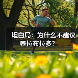 拉布拉多饲养缺点全攻略(图3)
