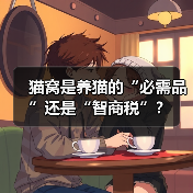 猫窝是必需品还是智商税全攻略(图2)