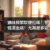 猫咪频繁软便拉稀警惕滴虫病全攻略