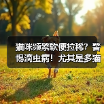 猫咪频繁软便拉稀?警惕滴虫病!尤其是多猫家庭(图2) 猫咪频繁软便拉稀警惕滴虫病全攻略(图2)