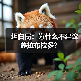 拉布拉多饲养缺点全攻略