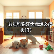 老年狗狗牙齿腐烂必须拔吗全攻略(图4)