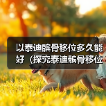 泰迪髌骨移位康复时间及治疗全攻略