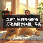 红绿灯鱼养殖全攻略(图3)
