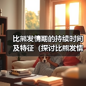 比熊发情期持续时间及特征全攻略(图2)