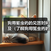 狗用驱虫药见效时间及使用全攻略