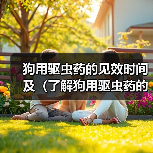 狗用驱虫药见效时间及使用全攻略(图4)