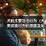 犬类攻击行为预防全攻略