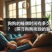 狗狗的睡眠时间有多久?(探寻狗狗夜晚的睡眠习惯与需求)(图4) 狗狗睡眠时间与习惯全攻略(图4)