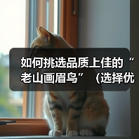 如何挑选品质上佳的“老山画眉鸟”(选择优质画眉鸟的关键技巧及养护要点)(图4) 挑选优质老山画眉鸟全攻略(图4)