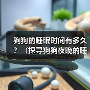 狗狗的睡眠时间有多久?(探寻狗狗夜晚的睡眠习惯与需求)(图3) 狗狗睡眠时间与习惯全攻略(图3)