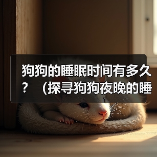 狗狗睡眠时间与习惯全攻略