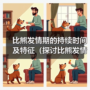 比熊发情期持续时间及特征全攻略(图3)