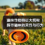 猫咪性格特征全攻略(图2)