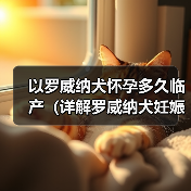 罗威纳犬怀孕临产详解全攻略