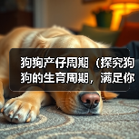 狗狗产仔周期全攻略(图3)