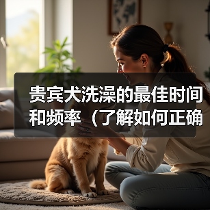 贵宾犬洗澡最佳时间和频率全攻略(图3)