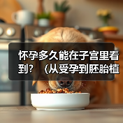 怀孕多久能在子宫里看到?(从受孕到胚胎植入,探究怀孕早期的奇妙过程)(图2) 怀孕多久看到胎儿全攻略(图2)